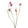 Branche artificielle de fleur d'échiquier PITARA, fuchsia-blanc, 50cm