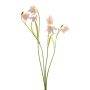 Branche artificielle de daphné PITARA, rose-blanc, 50cm