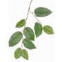 Branche de pommier artificielle KONSTANTIN, verte, 75cm