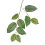 Branche de pommier artificielle KONSTANTIN, verte, 75cm
