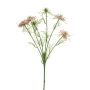Branche artificielle de cumin noir TIANKE, rose-crème, 65cm, Ø7-8cm