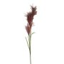 Branche artificielle d'herbe de la pampa LINEN avec panicules, rouge bordeaux, 145cm