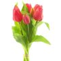 Bouquet de tulipes synthétiques LONA, fuchsia, 30cm