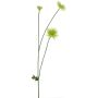 Fleur artificielle chrysanthème YUNJUAN, crème, 60 cm