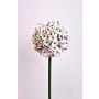 Allium artificiel LOKJAN, blanc-violet, 70 cm