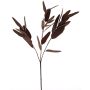 Branche décorative d'eucalyptus YUZIMO avec graines, rouge bordeaux, 80 cm