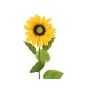 Tournesol artificiel DORINA, jaune, 70cm, Ø12cm