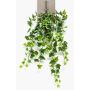 Vrille de lierre artificiel MAJA à planter, vert-blanc, 70cm