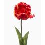 Tulipe perroquet décorative LIOMARA, orange, 65 cm
