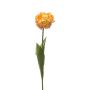 Tulipe perroquet décorative LIOMARA, jaune-pêche, 65 cm