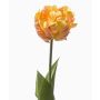Tulipe perroquet décorative LIOMARA, jaune-pêche, 65 cm