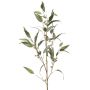 Branche d'eucalyptus artificielle JURKA avec des fruits, vert-gris, 115cm