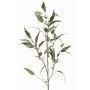 Branche d'eucalyptus artificielle JURKA avec des fruits, vert-gris, 115cm