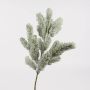 Branche de sapin artificielle THOMAS, neige, 55cm