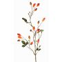 Rameau décoratif de rosier sauvage ZERBST avec des cynorrhodons, orange-rouge, 80cm