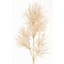 Rameau décoratif Corail BILBAS, crème, 70cm