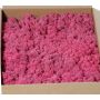 Mousse naturelle d'Islande SVEINBJÖRN, fuchsia, 2,7kg