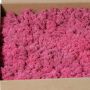Mousse naturelle d'Islande SVEINBJÖRN, fuchsia, 2,7kg