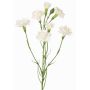 Branche de fleur artificielle œillet PIARA, blanche, 60cm, Ø3-5cm