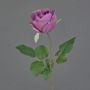 Fleur artificielle rose POPI, violet-vert, 55 cm, Ø 7 cm