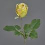 Fleur artificielle Rose POPI, jaune-vert-rose, 55 cm, Ø 7 cm