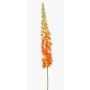 Grande fleur artificielle bougie des steppes NITTI, orange, 130cm