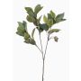 Branche artificielle d'eucalyptus VIZIMIR avec fruits, verte, 80 cm