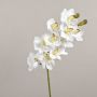 Branche d'orchidée Cymbidium synthétique LANAKILA, blanche, 70cm, Ø9cm