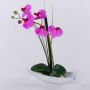 Orchidée artificielle Phalaenopsis en céramique YANNIE, roseau, coupelle, cerise, 30cm