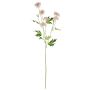 Branche de fleurs en tissu Chrysanthème REINHARDA, rose-blanc, 65cm