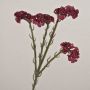 Fleur artificielle lavande de mer AYISHA, aspect séché, rouge foncé, 65cm, 3,5x6cm