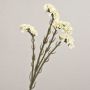 Fleur artificielle Strandflieder AYISHA, aspect séché, blanche, 65cm, 3,5x6cm