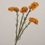 Fleur artificielle lavande de plage AYISHA, aspect séché, orange, 65cm, 3,5x6cm