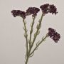 Fleur synthétique Strandflieder AYISHA, aspect séché, violet foncé, 65cm, 3,5x6cm