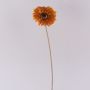 Fleur décorative Gerbera TUNGUSKA, aspect sec, orange, 50cm