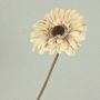 Fleur décorative Gerbera TUNGUSKA, aspect sec, crème-beige, 50cm