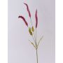 Herbe artificielle Branche de liriope JELIKANTA avec des panicules, rouge bourgogne, 75cm
