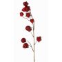 Branche artificielle de physalis AINOS, fruits, paillettes, rouge bordeaux, 80cm
