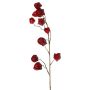 Branche artificielle de physalis AINOS, fruits, paillettes, rouge bordeaux, 80cm