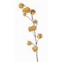 Branche synthétique de physalis AINOS, fruits, paillettes, beige, 80cm