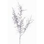 Branche synthétique d'Asparagus acutifolius PARNASO, argent, 100cm
