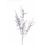Branche synthétique d'Asparagus acutifolius PARNASO, argent, 100cm