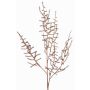 Branche synthétique d'Asparagus acutifolius PARNASO, cuivre, 100cm