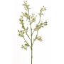 Branche de myrte synthétique PALKA avec baies, vert-blanc, 65cm