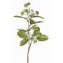 Branche de cornouiller synthétique PANGO avec bourgeons, vert-blanc, 70cm, Ø7cm