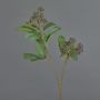 Branche de cornouiller synthétique PANGO avec bourgeons, lilas foncé, 70cm, Ø7cm