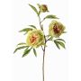 Branche décorative Pivoine MANJA, vert-fuchsia, 70cm, Ø8-10cm