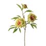 Branche décorative Pivoine MANJA, vert-fuchsia, 70cm, Ø8-10cm