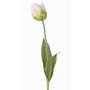 Fleur en tissu Tulipe perroquet UAKARI, blanc-vert, 65cm, Ø6cm