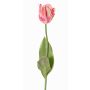 Fleur en tissu Tulipe perroquet UAKARI, rose-crème-vert, 65cm, Ø6cm